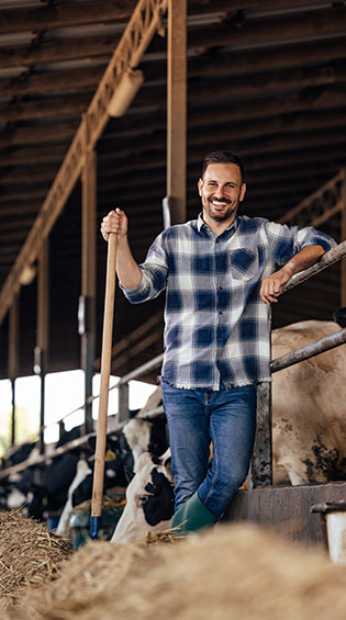 photo installation panneaux photovoltaiques agriculteur eleveur